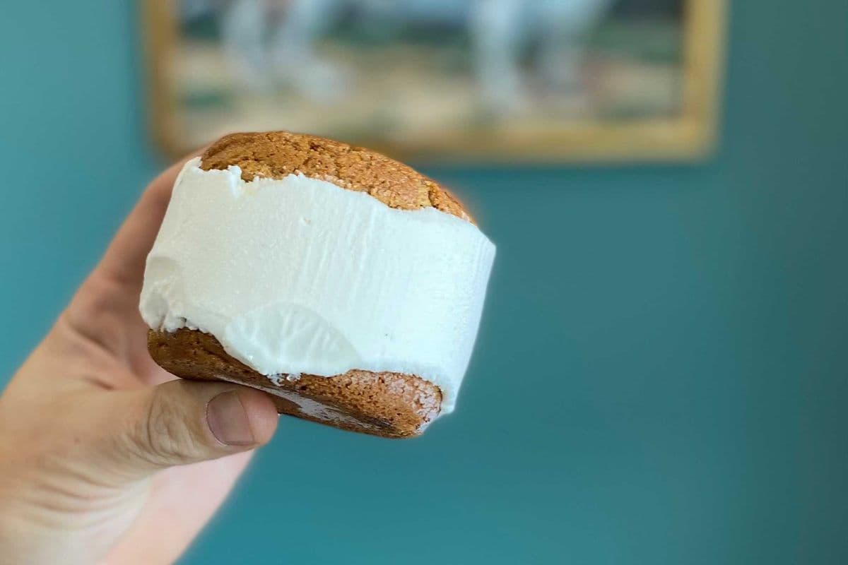 Gluten Free Ice Cream Cookie Sandwich