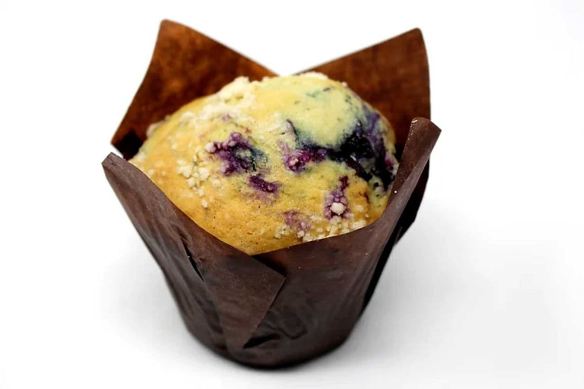 Muffin Blueberry