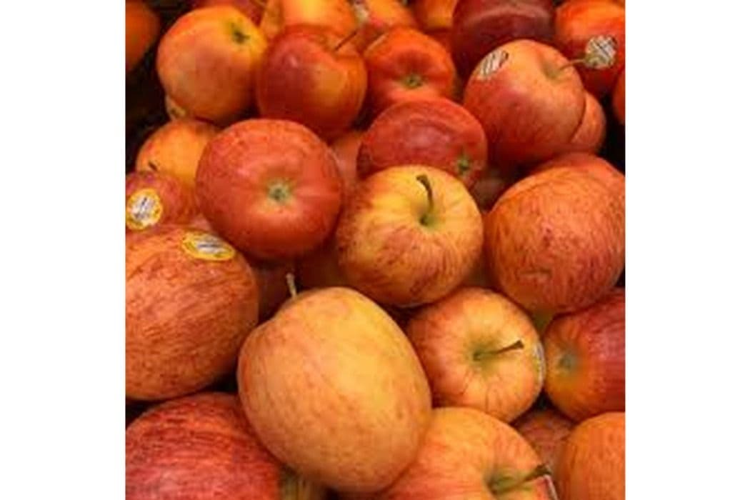 Gala Apple (4 pcs)