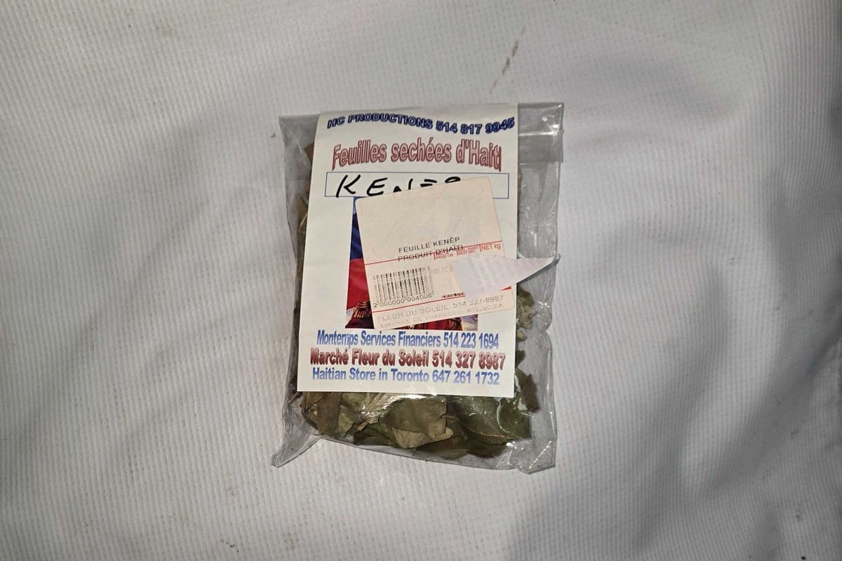 FEUILLE KENEP