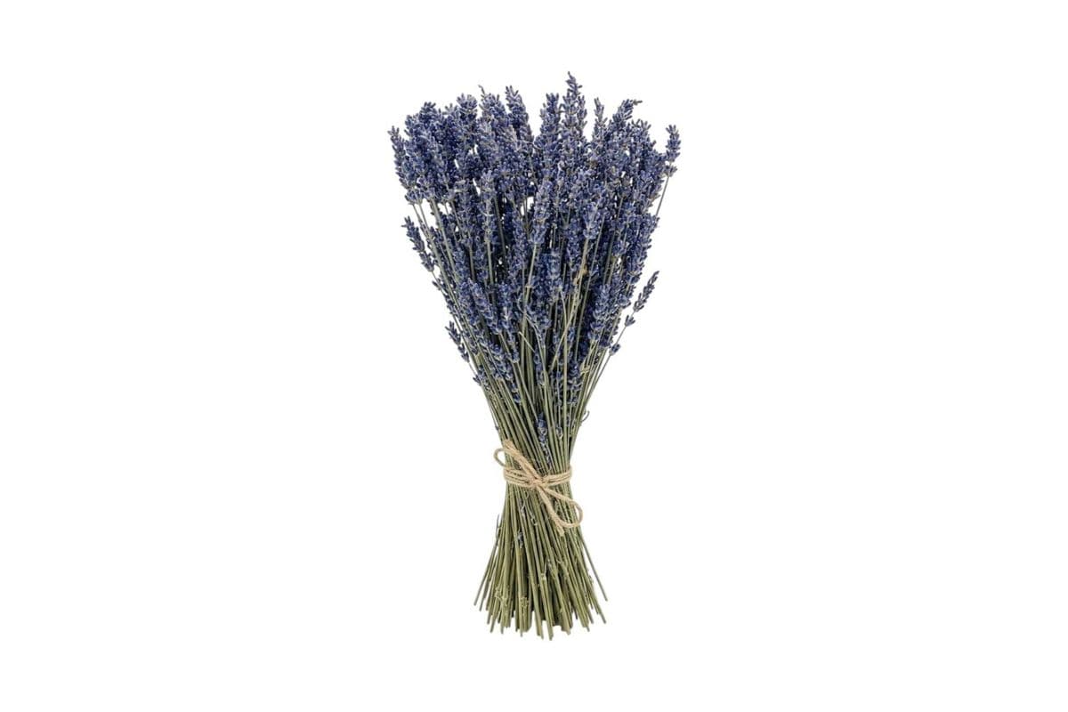 Dried Lavender - Small