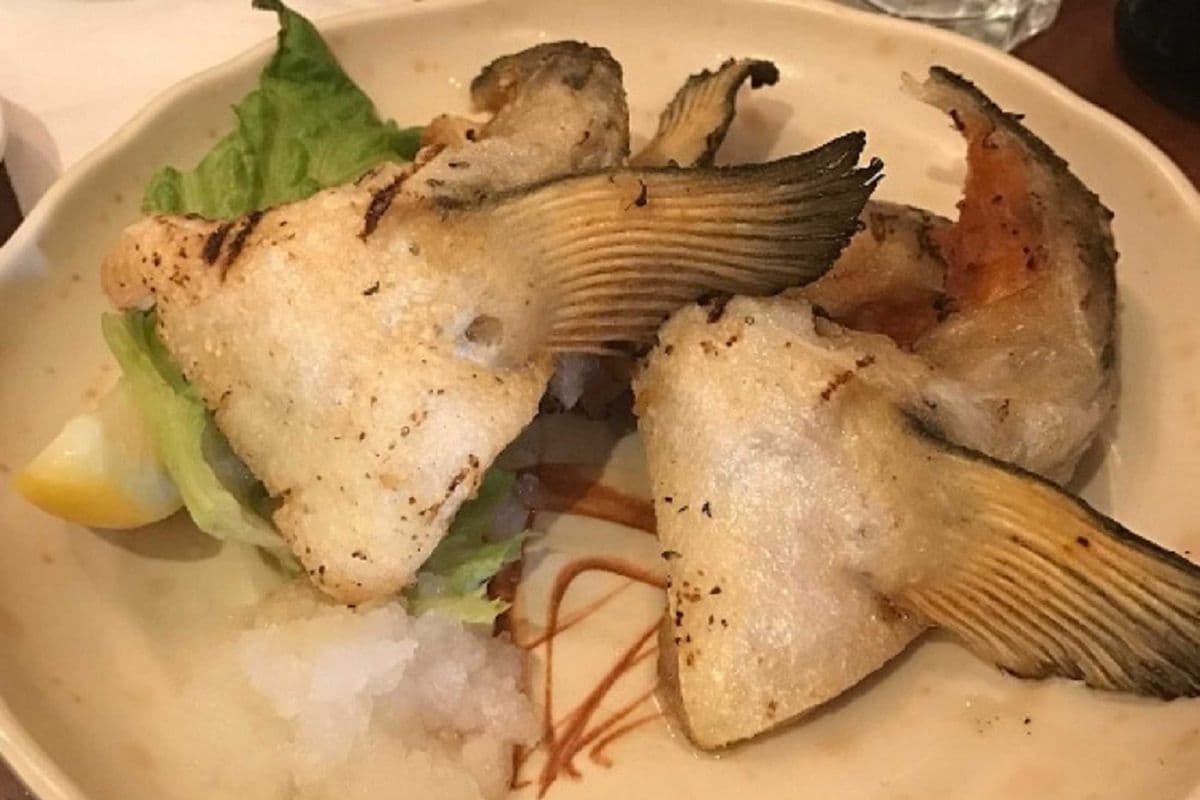 Salmon Kama