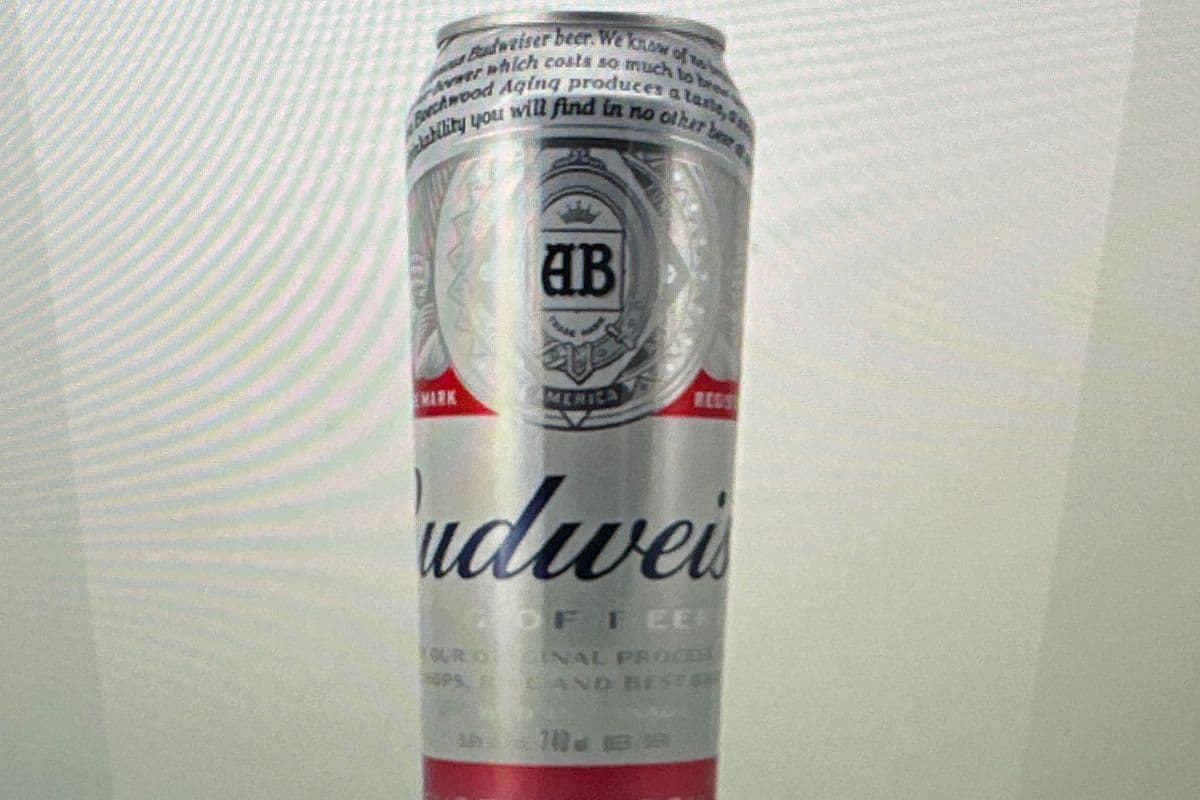 Budweiser Beer (1 x 740 ml)
