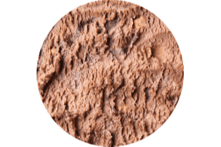 Single Cup - Belgian Hazelnut
