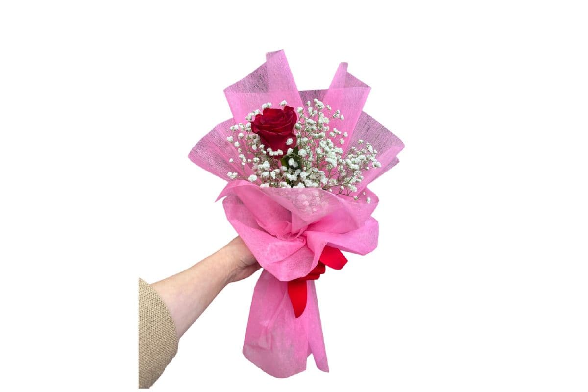 The Love Pink 12