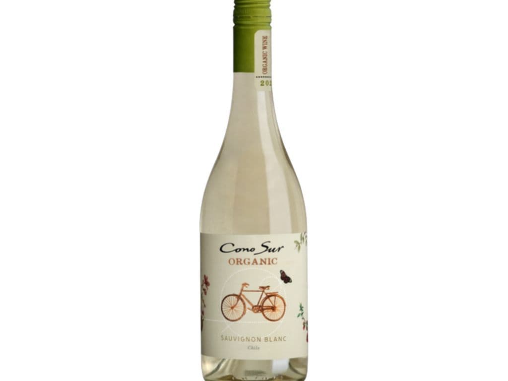 Cono Sur Organic - Sauvignon Blanc