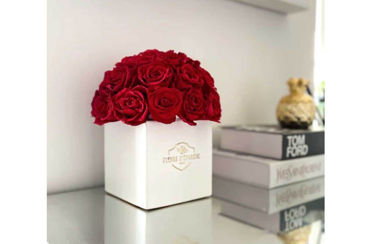 Super Dome in Square Vase