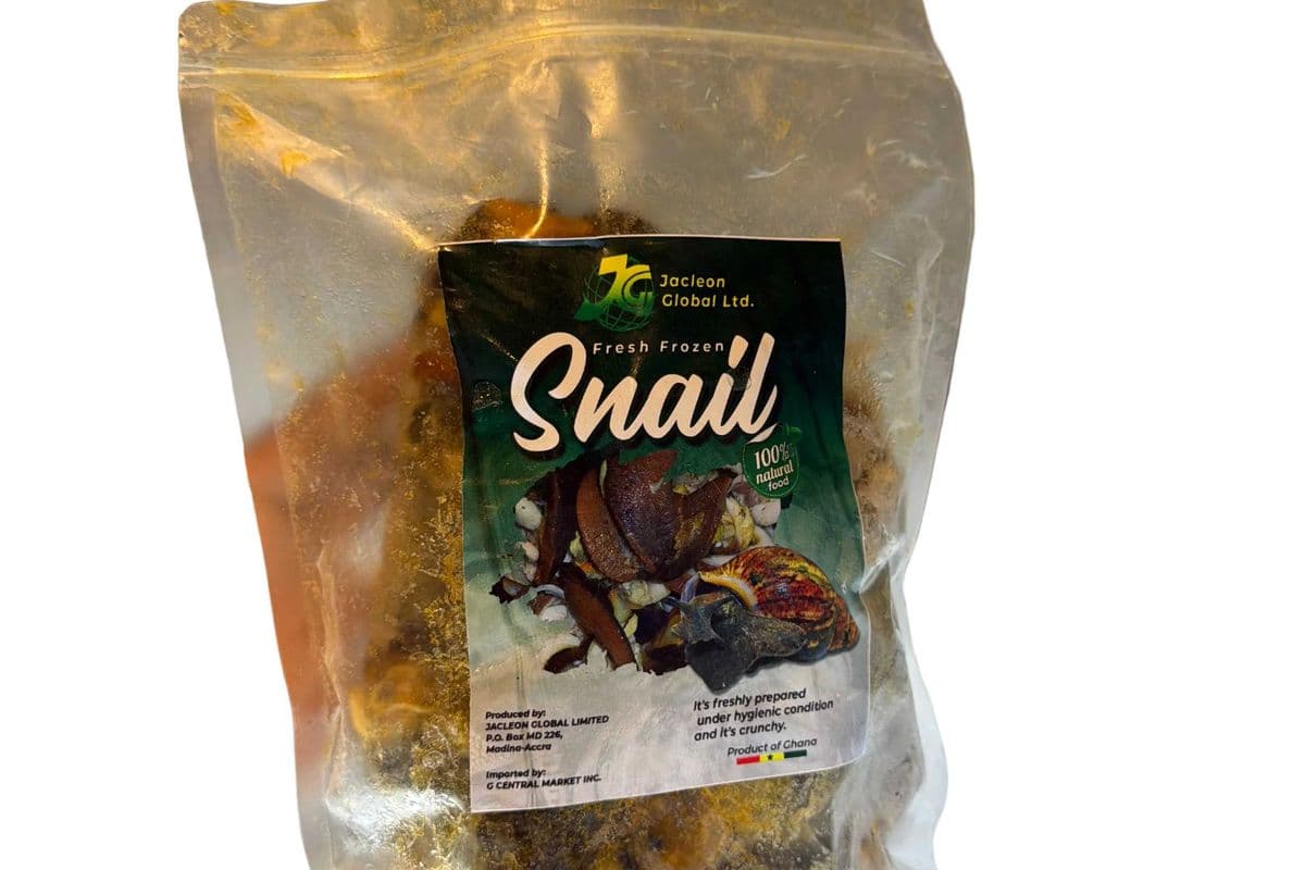 Frozen Snail