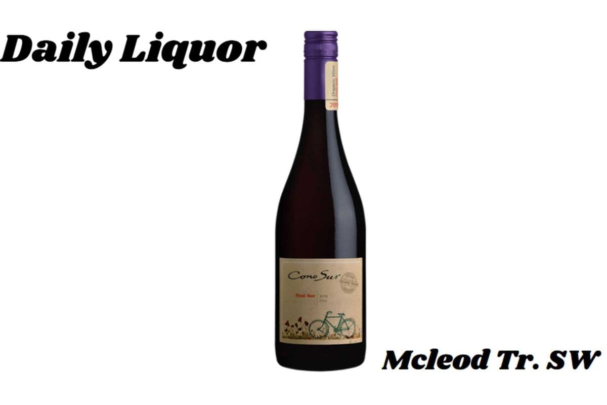 CONO SUR ORGANIC PINOT NOIR 750ML (1 x 750ML)