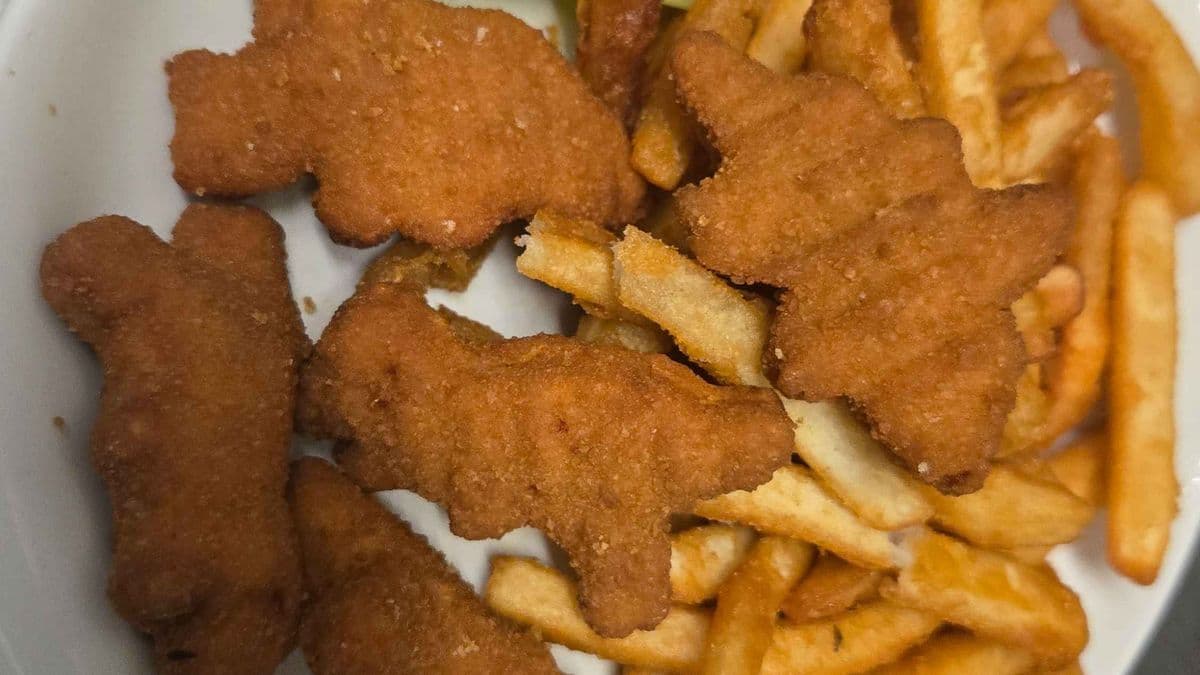 Kid’s Nuggets