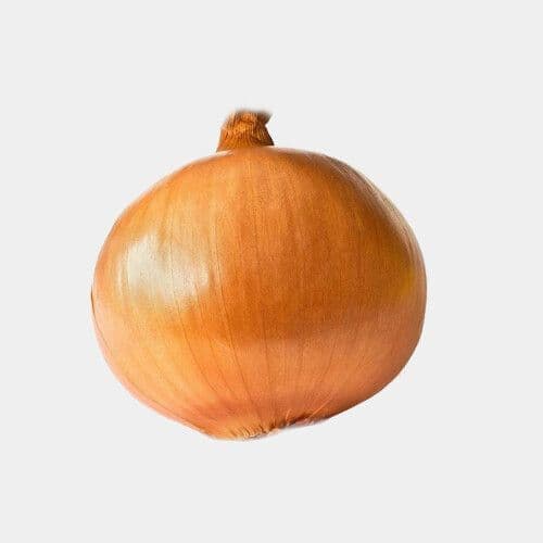 Oignon jaune / Yellow Onion