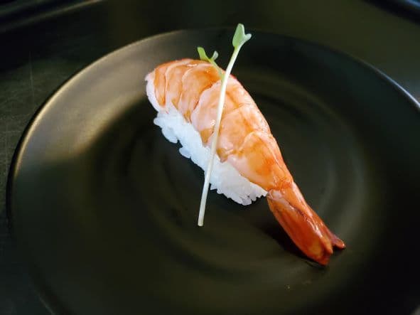 Ebi