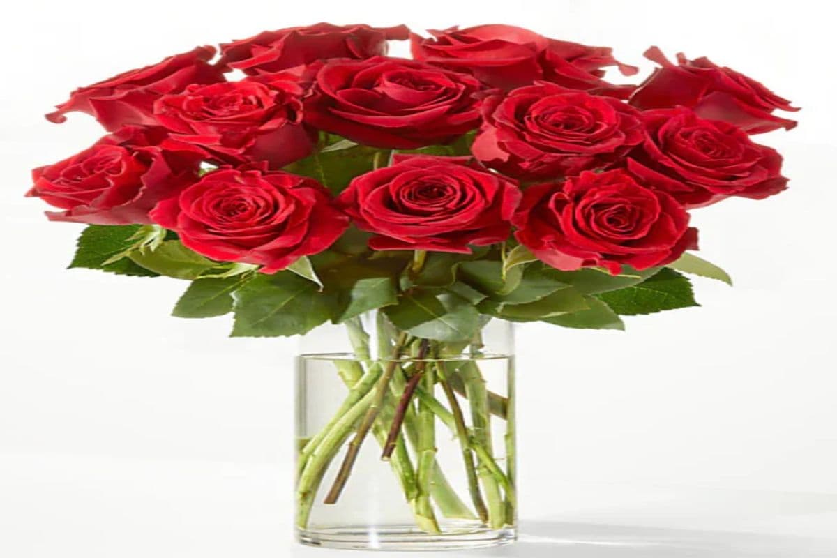 Dozen Roses in a Vase