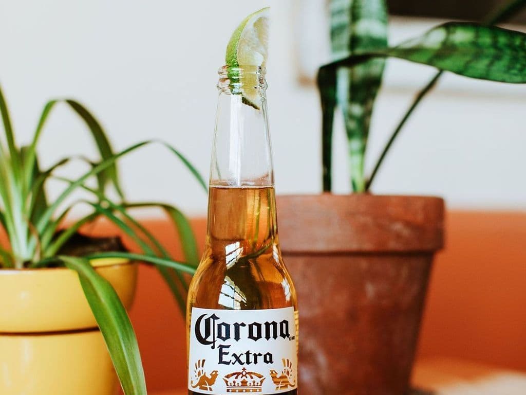 T/O Corona
