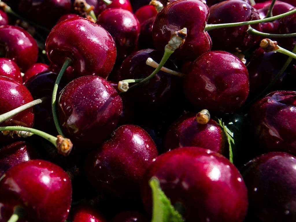 Local Cherries Red (2lbs)