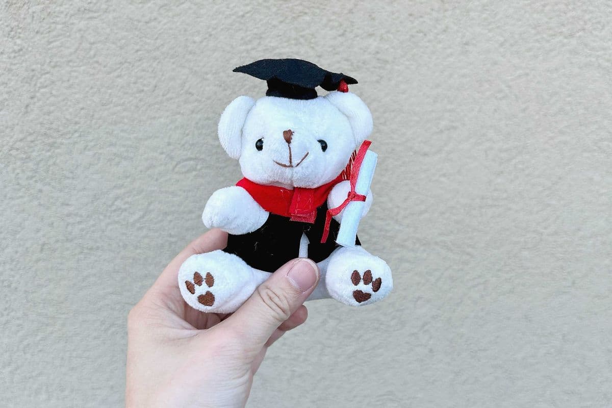 Graduation Bear Mini - White