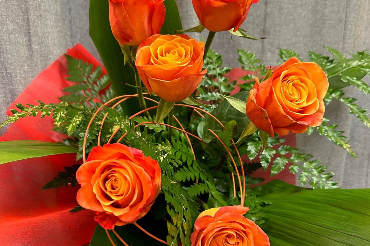 Someone Special - Six Orange Roses