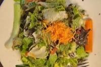 Garden Fresh Salad