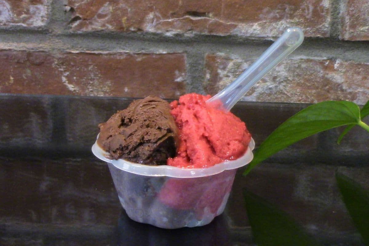 Gelato chocolat noir et sorbet framboise / Gelato and Sorbet