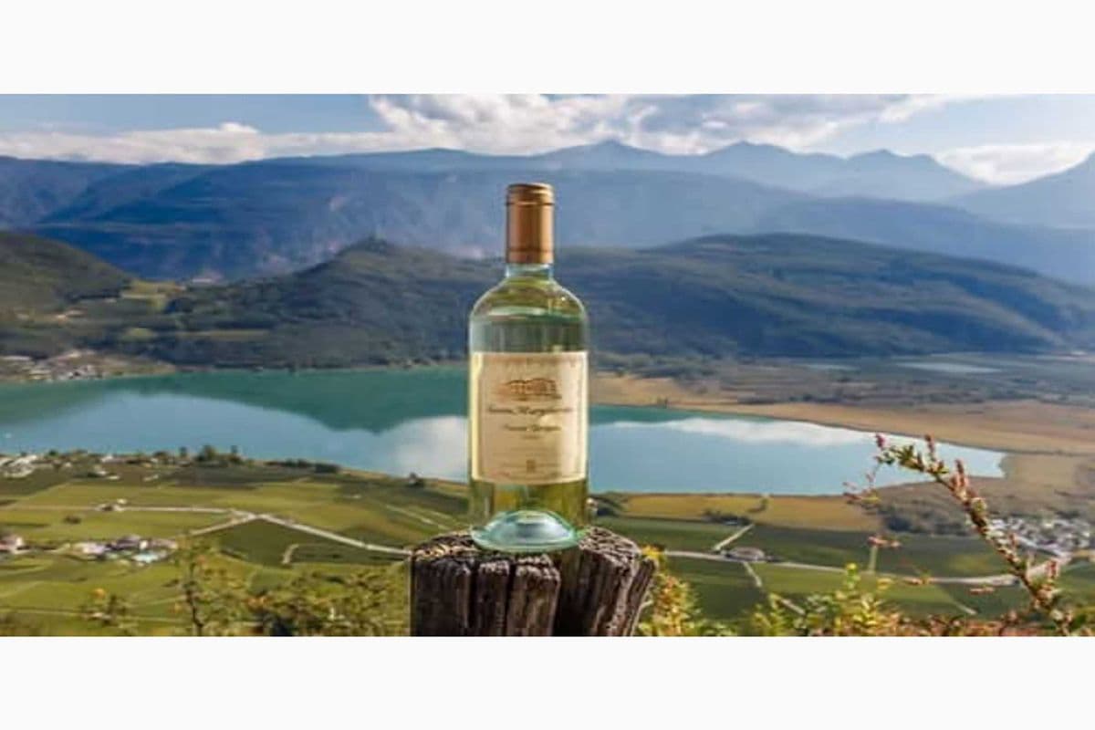 SANTA MARGHERITA PINOT GRIGIO (1 x 750ML)