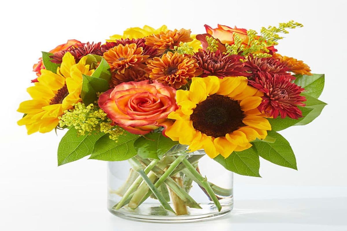 Warm Sunflower