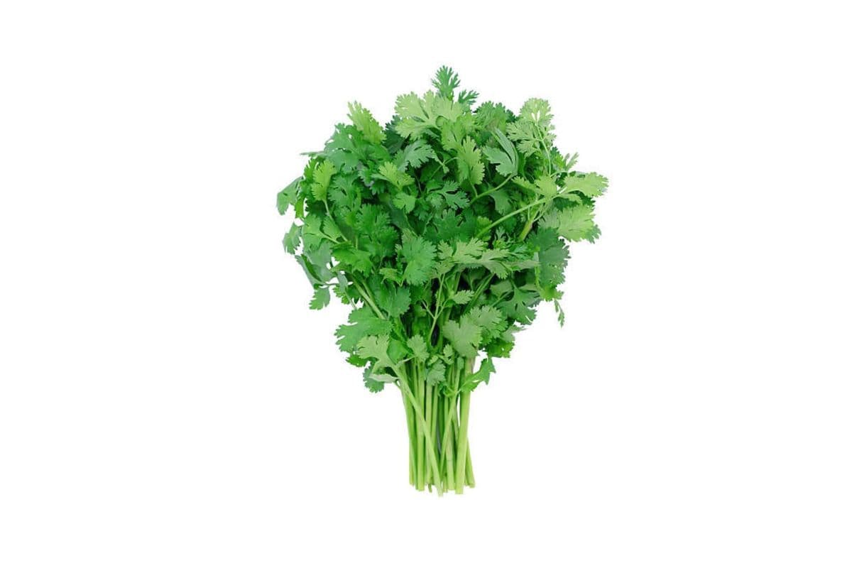 Cilantro (1 Bunch)
