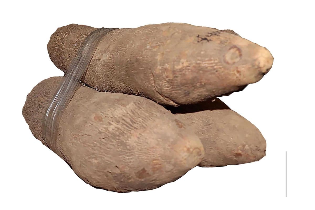 New Pona Yam (10lbs)