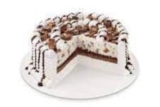 Gâteau Blizzard® 8" TURTLES® avec pacanes / TURTLES® with Pecans Blizzard® Cake