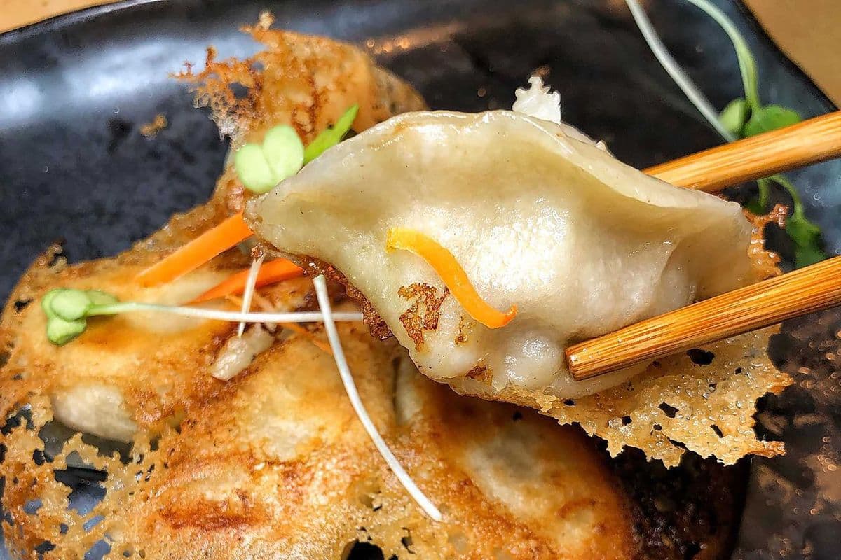 B2. Beef and Onion Pot Sticker
