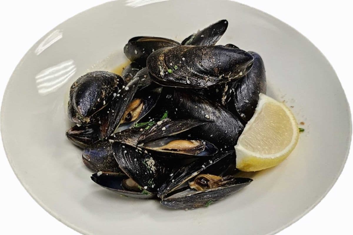 MUSSELS