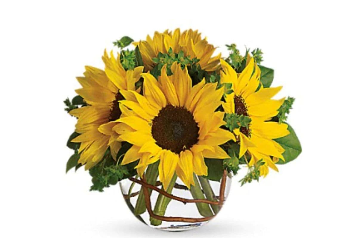 Sunny Sunflowers