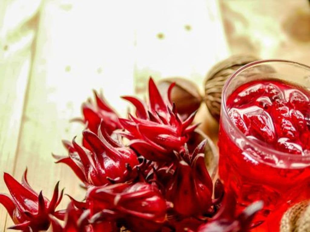 SORREL