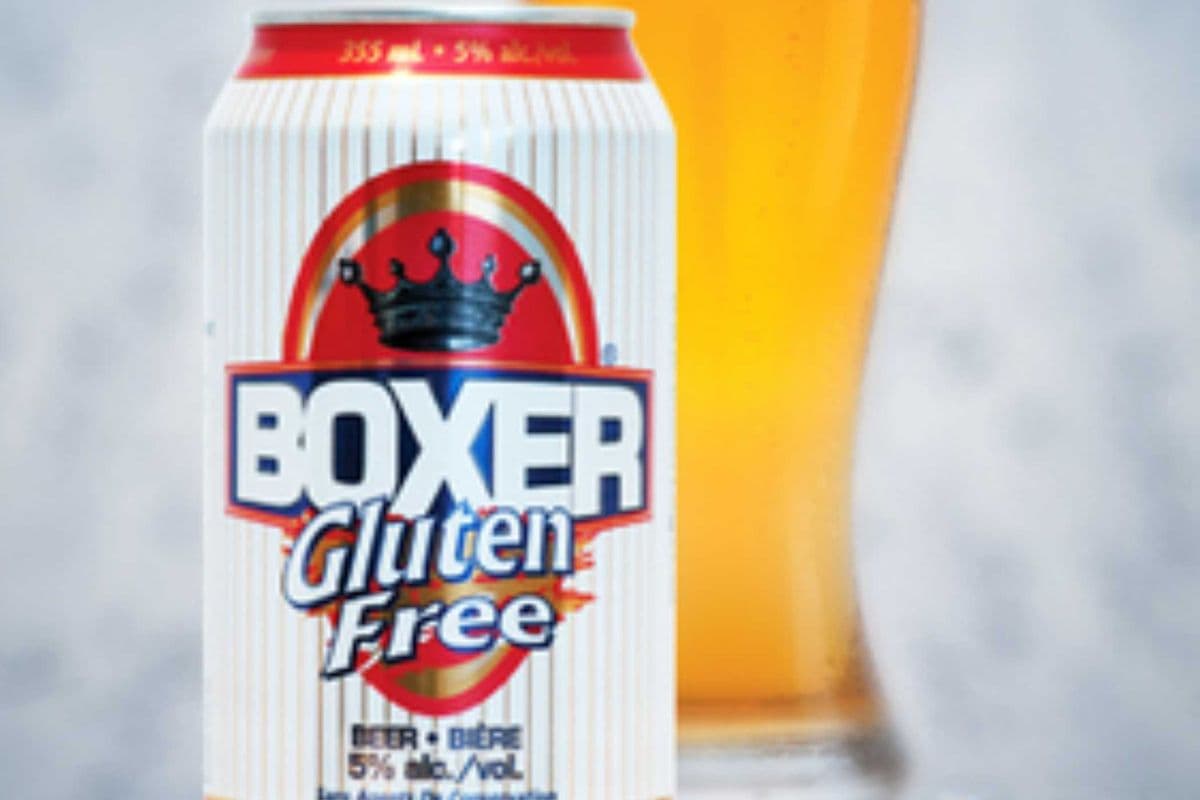 Boxer Gluten-Free (6 x 355ML CAN)