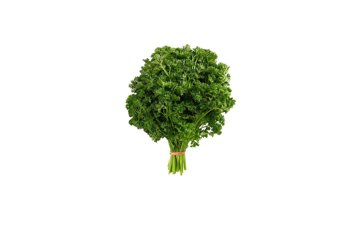 Parsley (1 bunch)