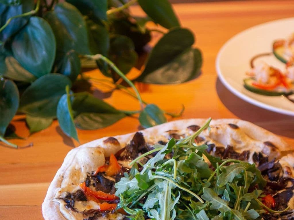 Funghi Forager 10"