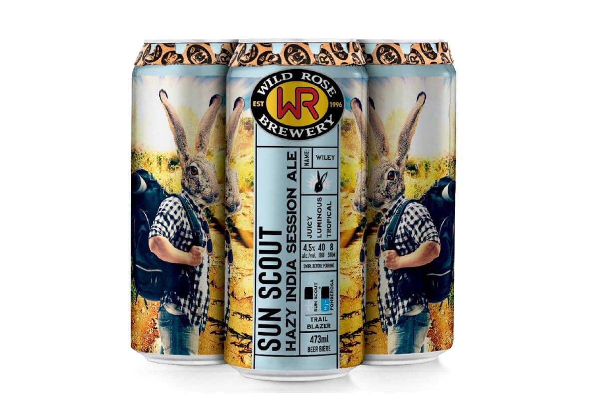 Wild Rose Sun Scout (4 x 473 ml)