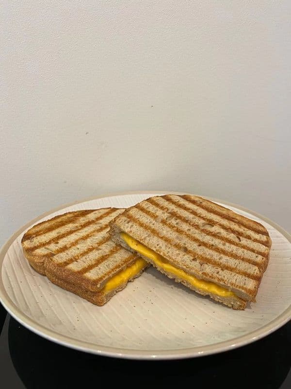 Grilled Cheese Panini