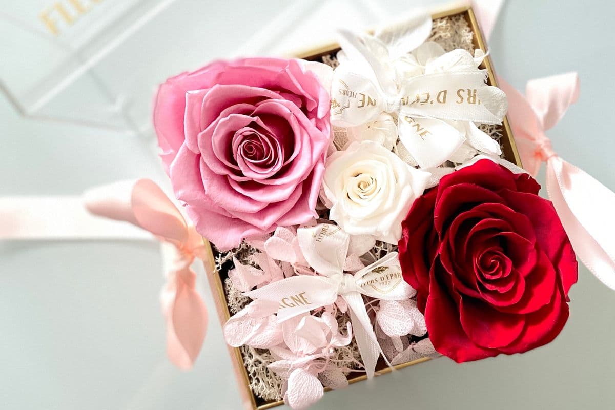 Fariytale Square Box (Pink)