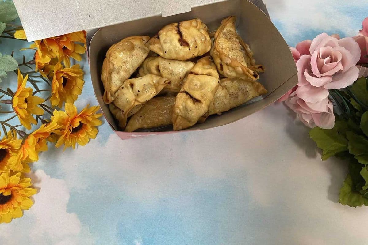 Gyoza Dumplings