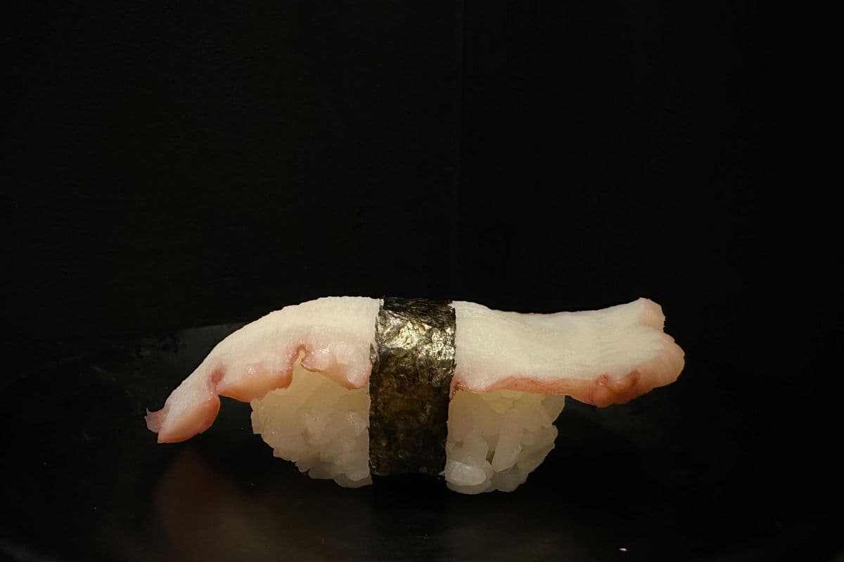 Tako Nigiri