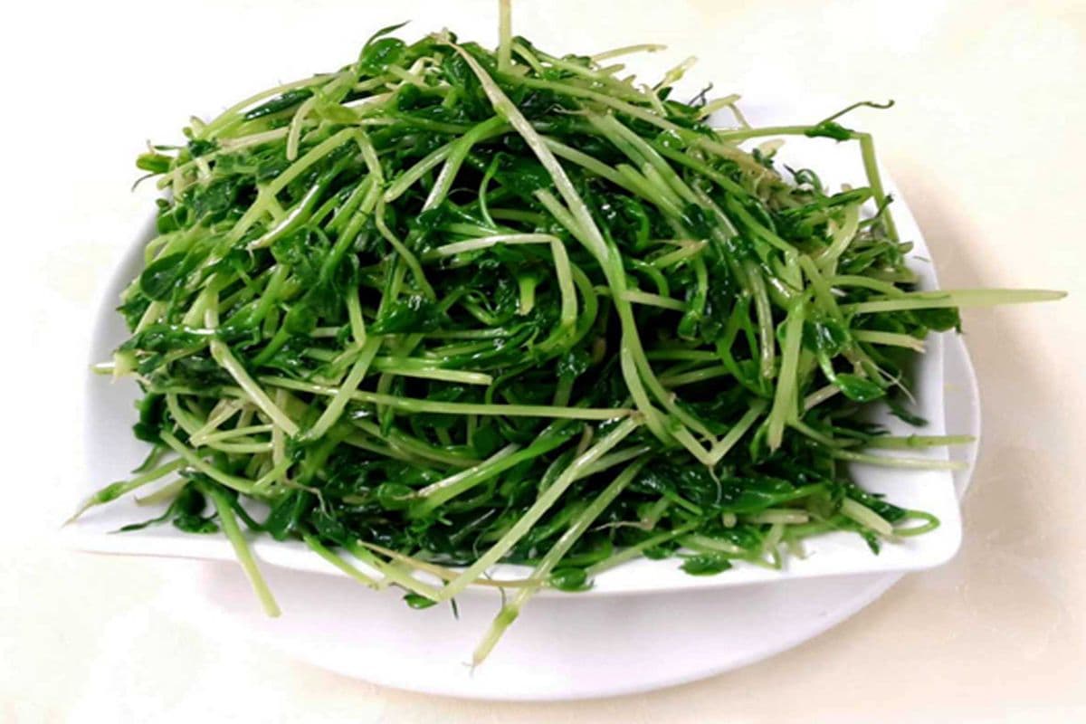 16. Water Boiled Snow Pea Shoot
