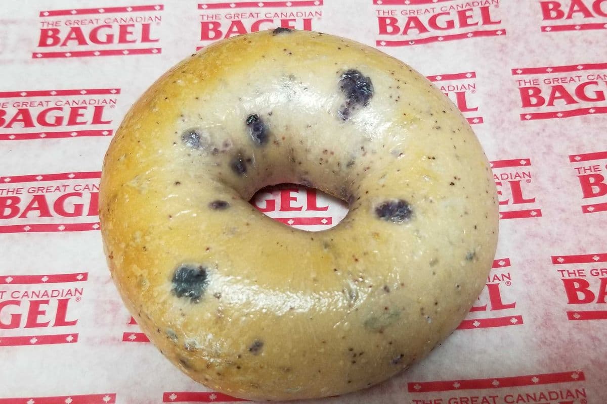 Blueberry Bagel