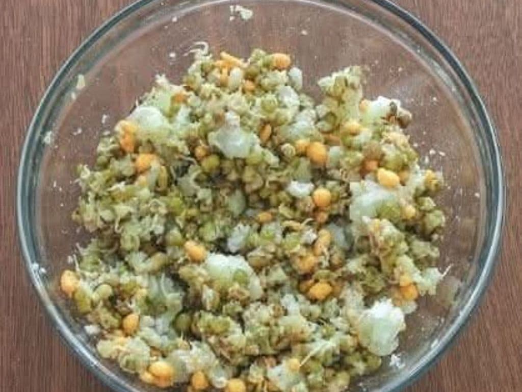 Panipuri Potato Stuffing 24 Oz