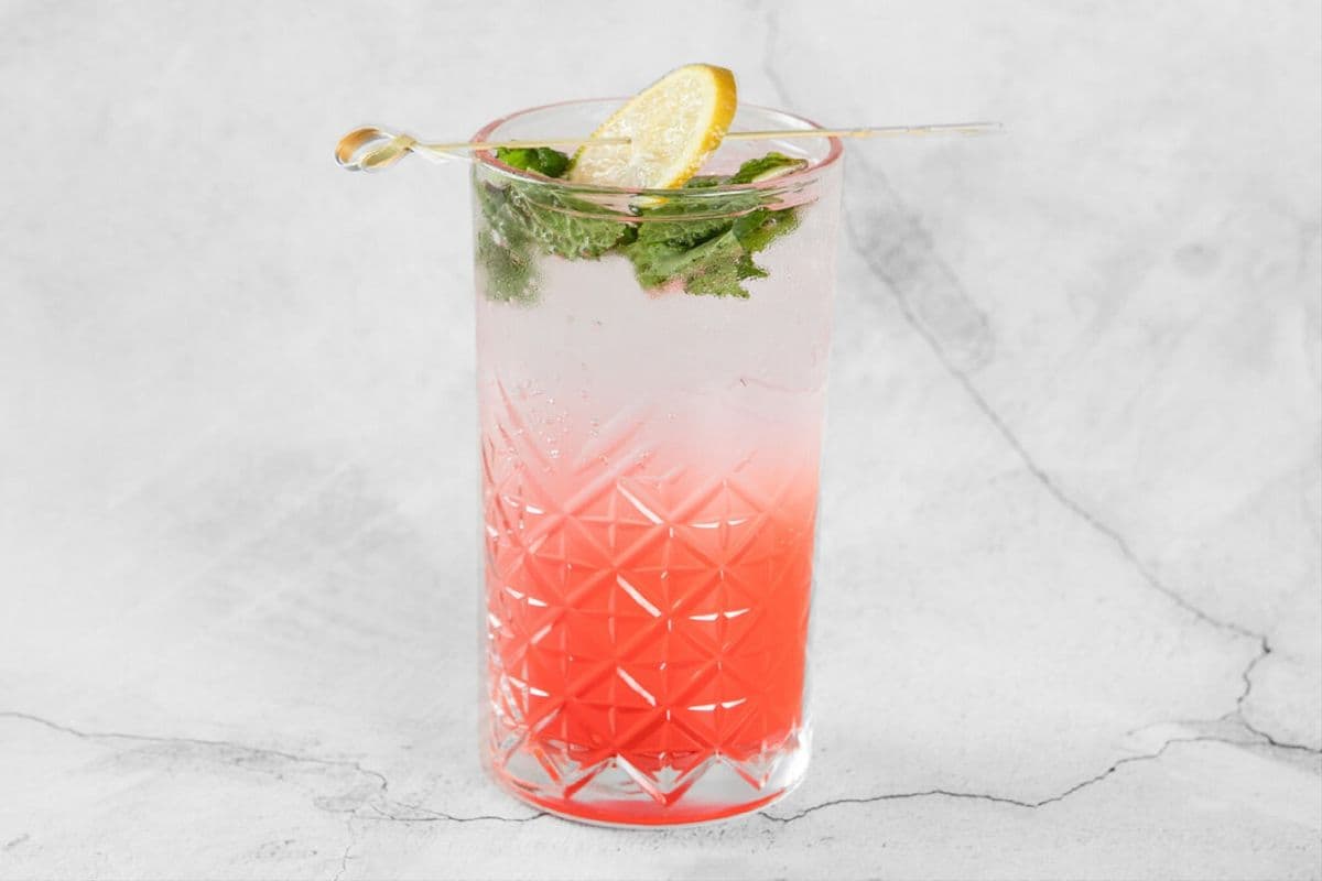 Watermelon Mojito