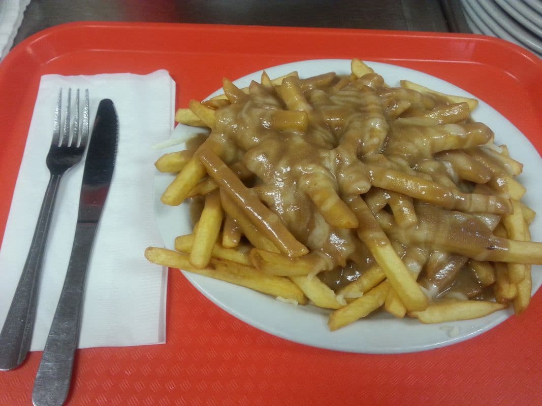 Large Poutine with Homemade Beef Gravy