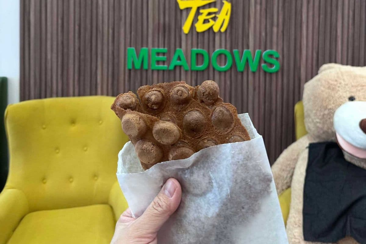 Chocolate Bubble Waffle (Plain)