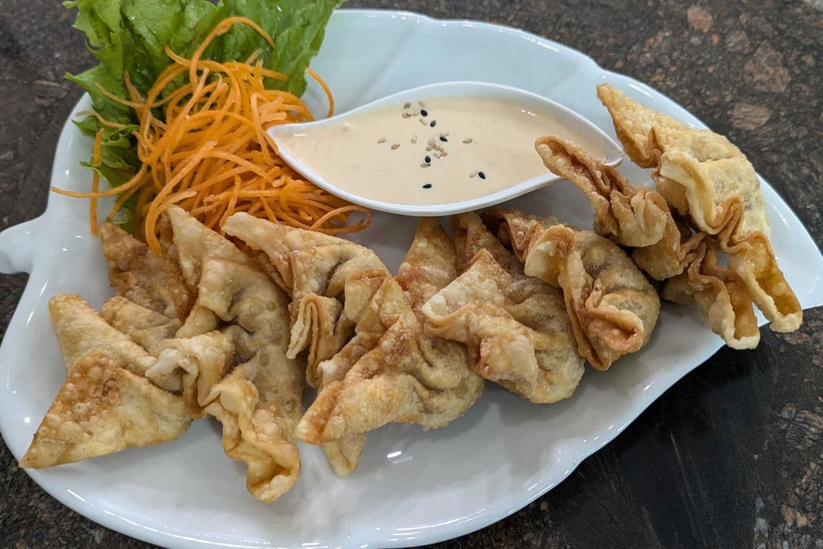 E18 Wonton Frits (8 MCX)