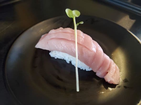 Toro