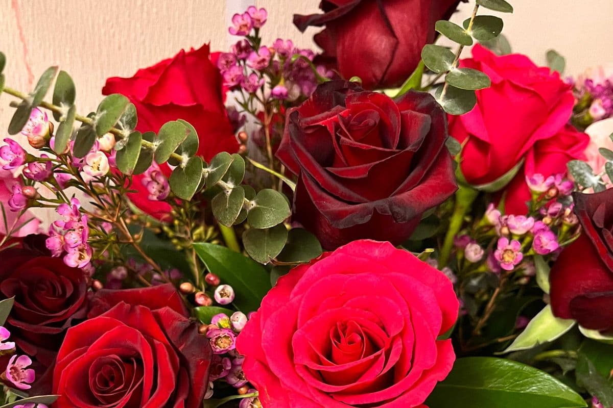 Half Dozen Roses Premium Wrapped