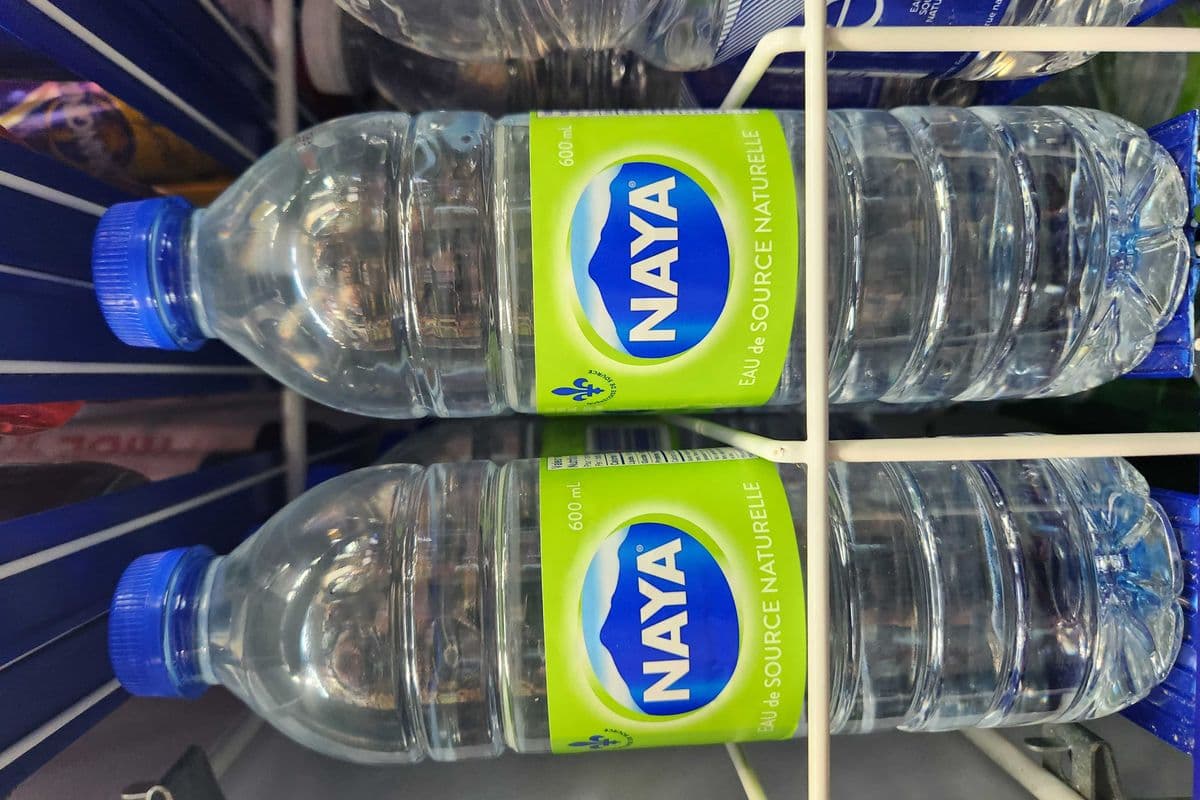 Naya (600 ml)
